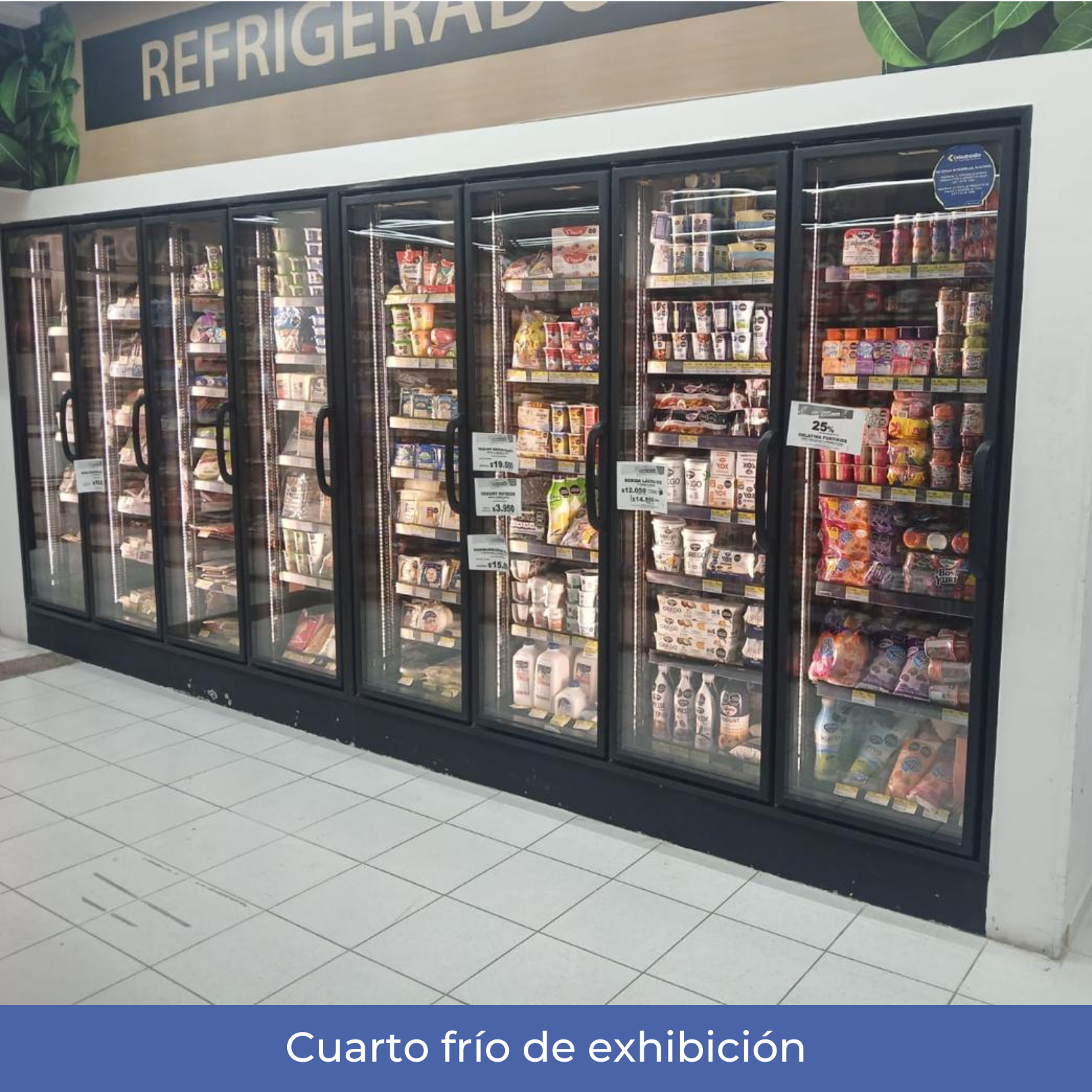 Cuarto frío de exhibición