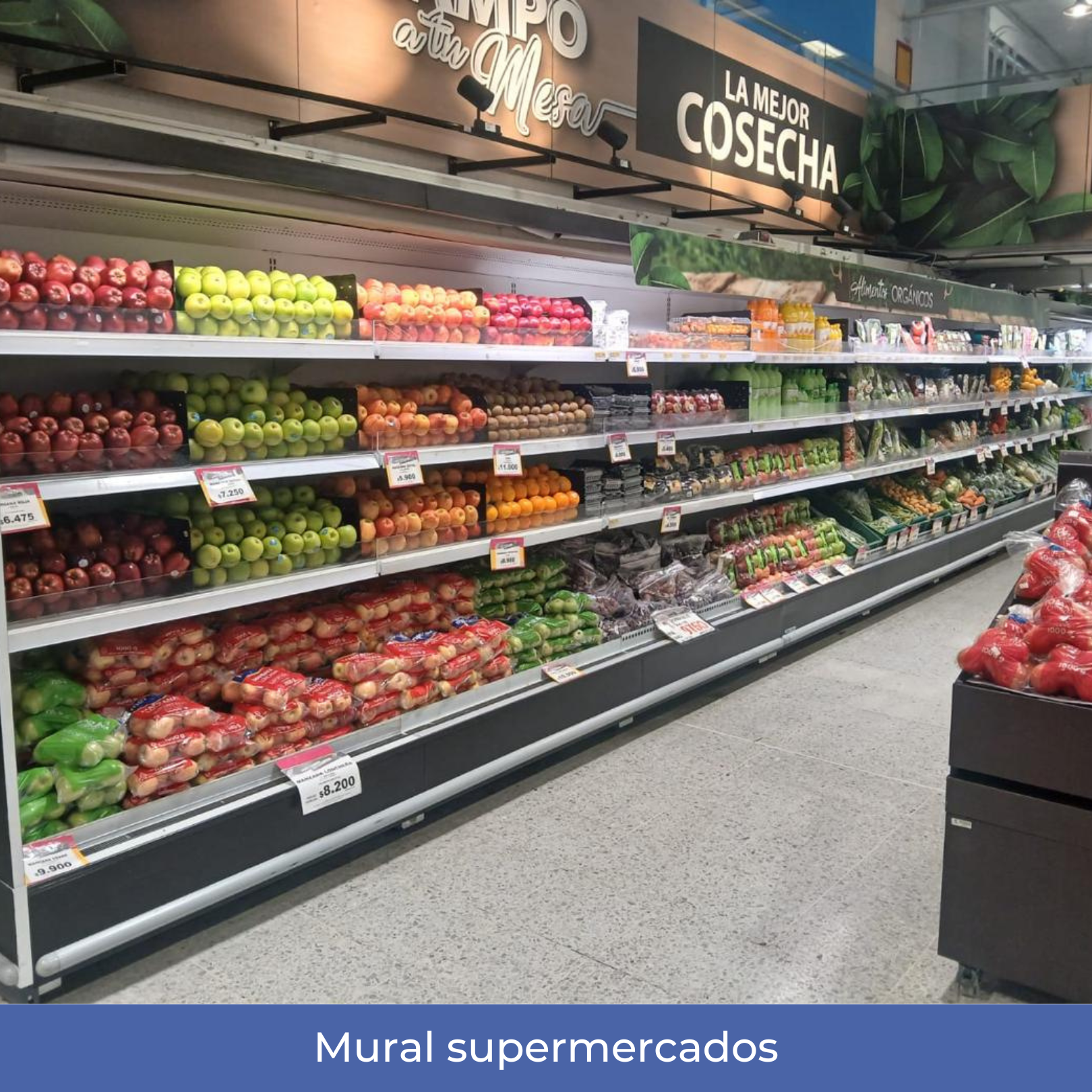 Mural supermercados (2)