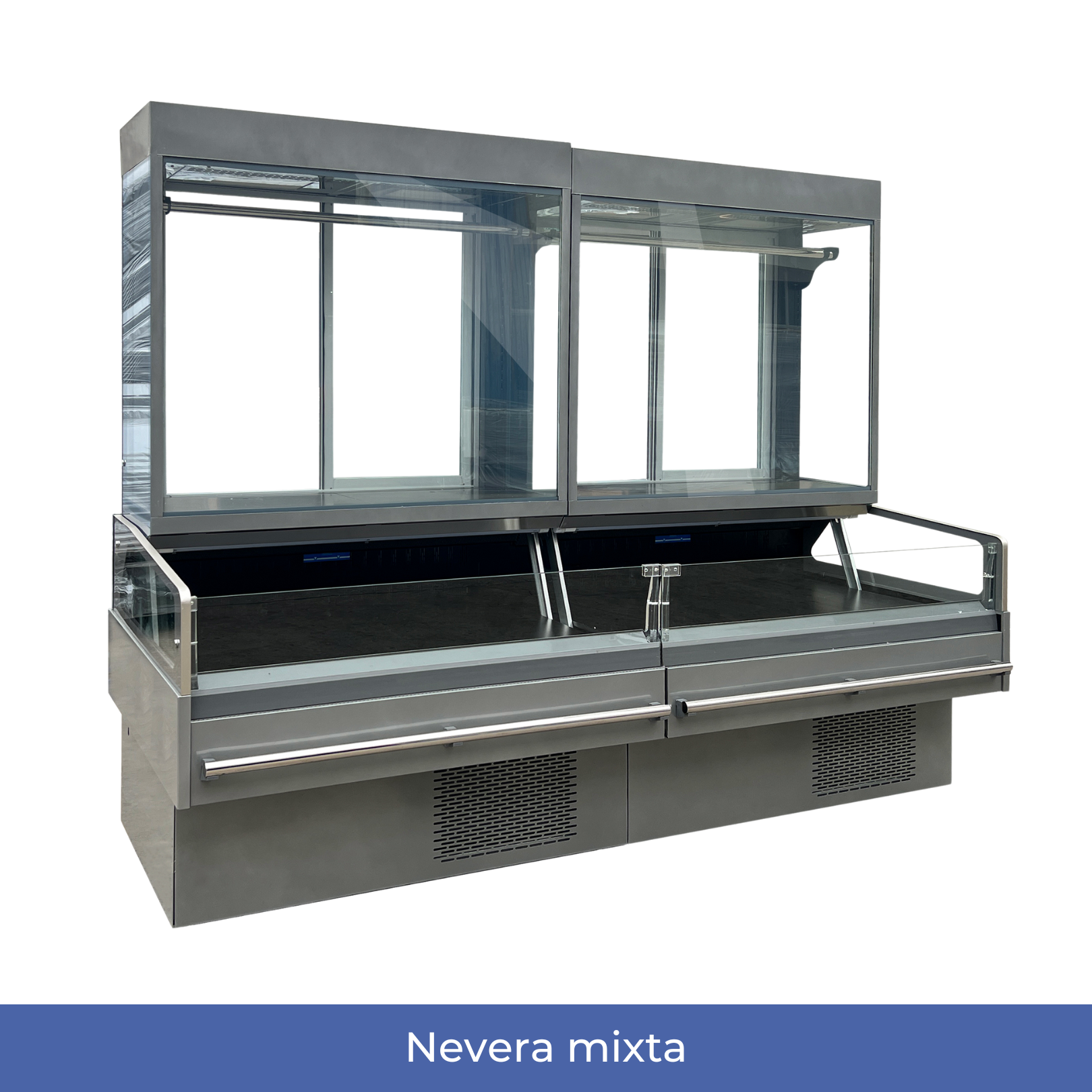 Nevera mixta